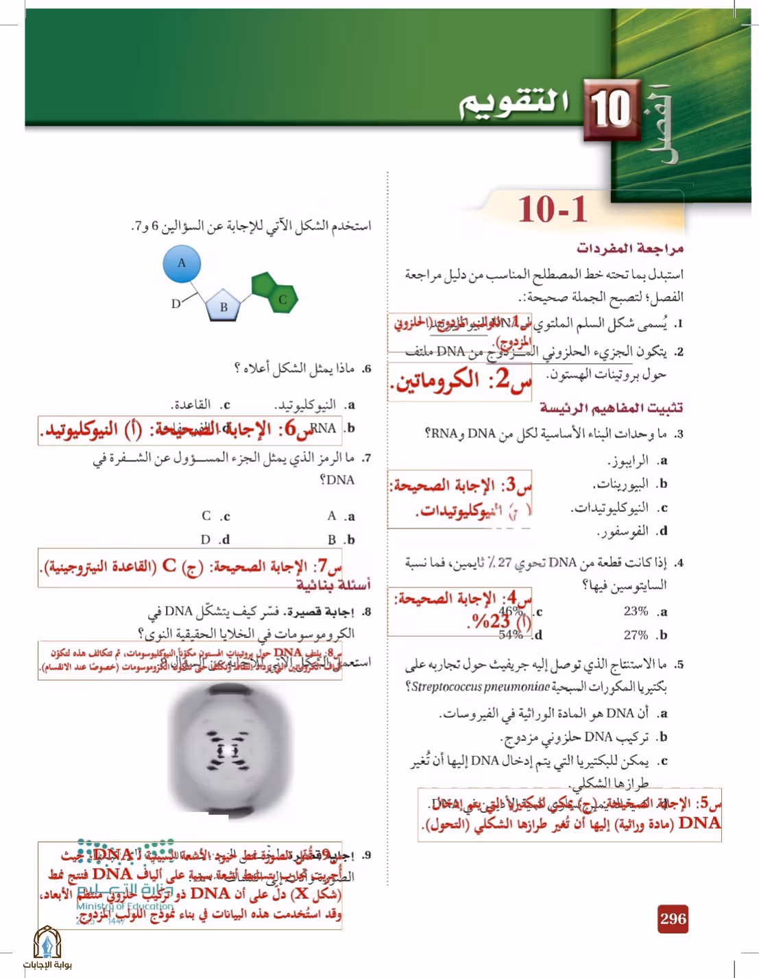 صفحة 296