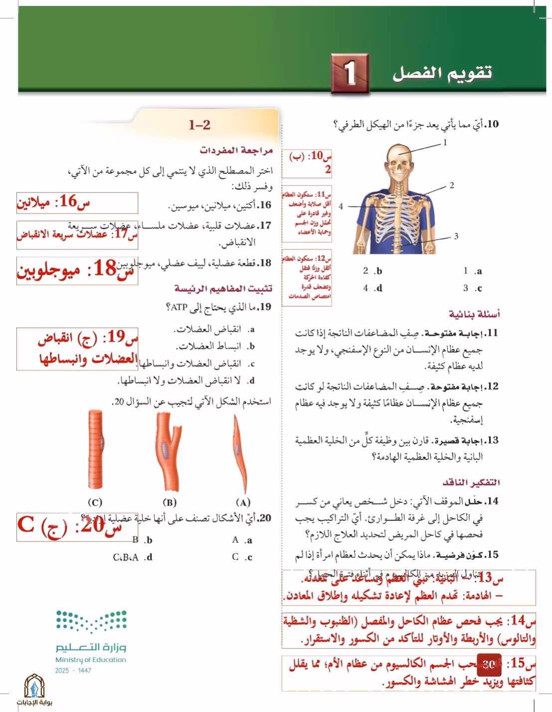 صفحة 30