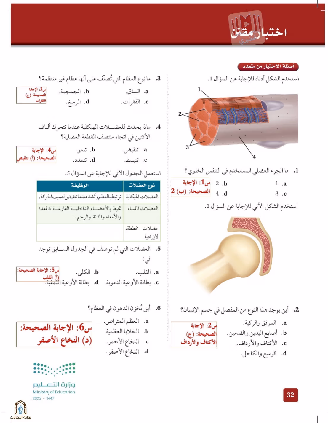 صفحة 32