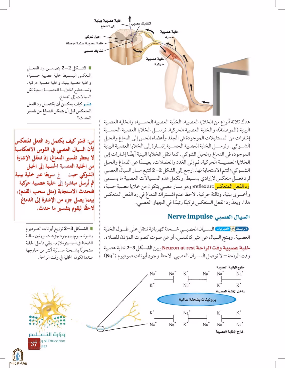 صفحة 37