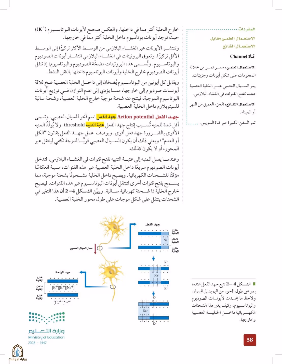 صفحة 38