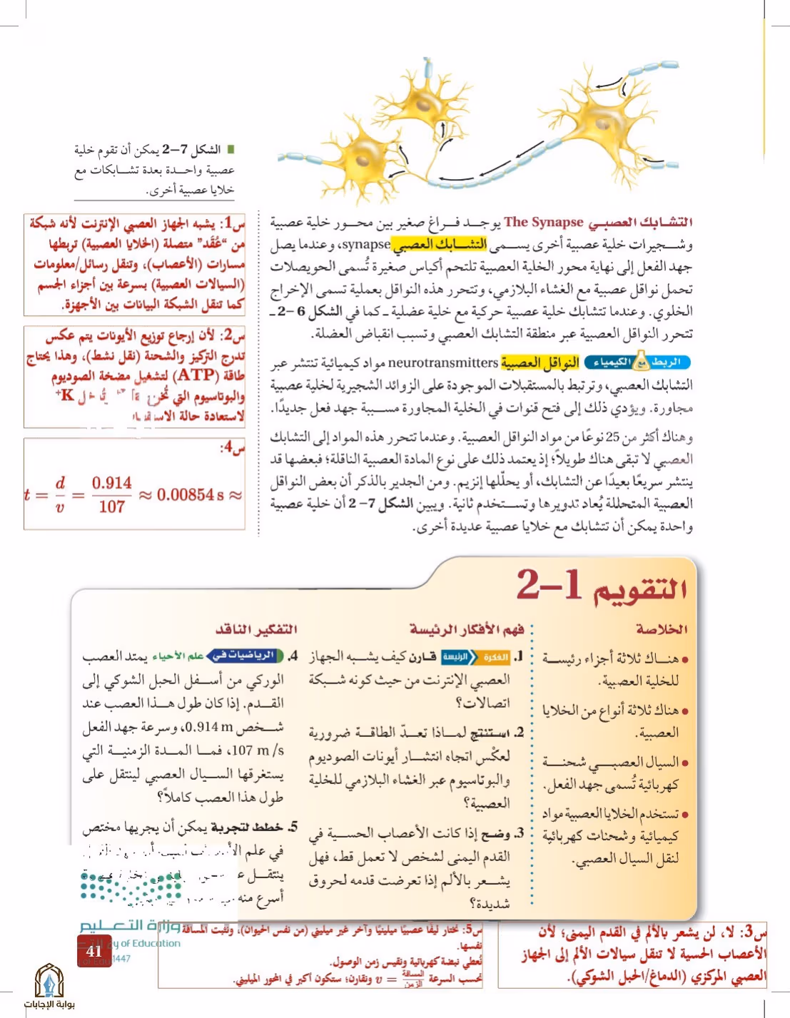صفحة 41