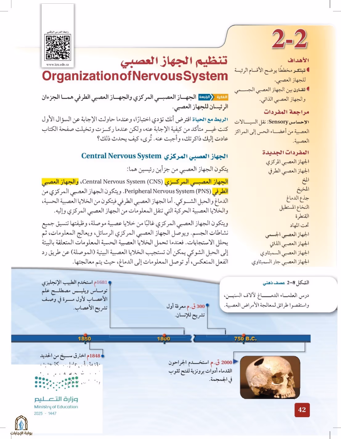 صفحة 42