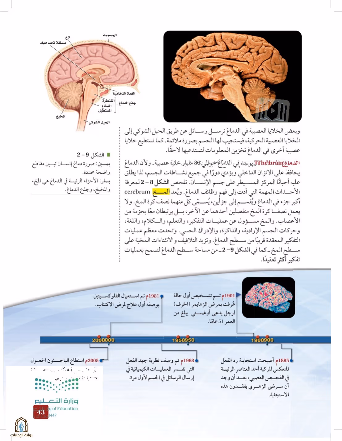 صفحة 43