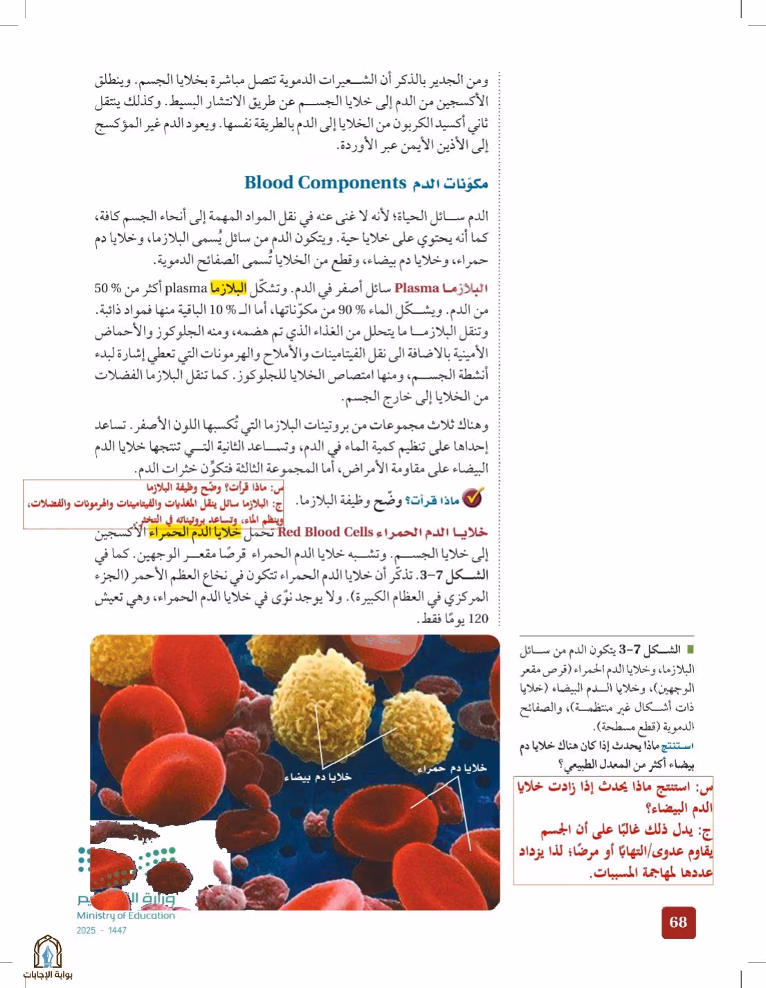 صفحة 68