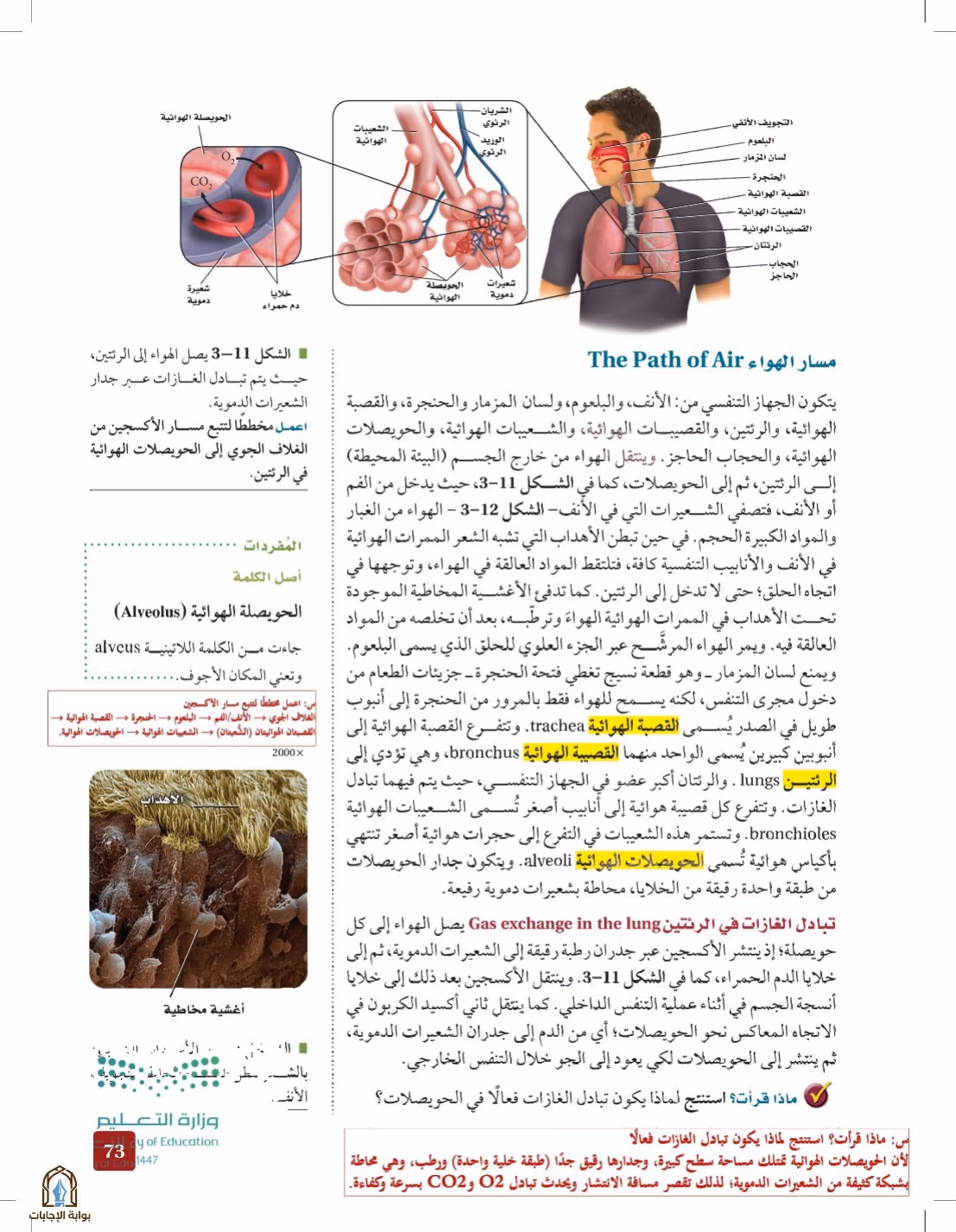 صفحة 73