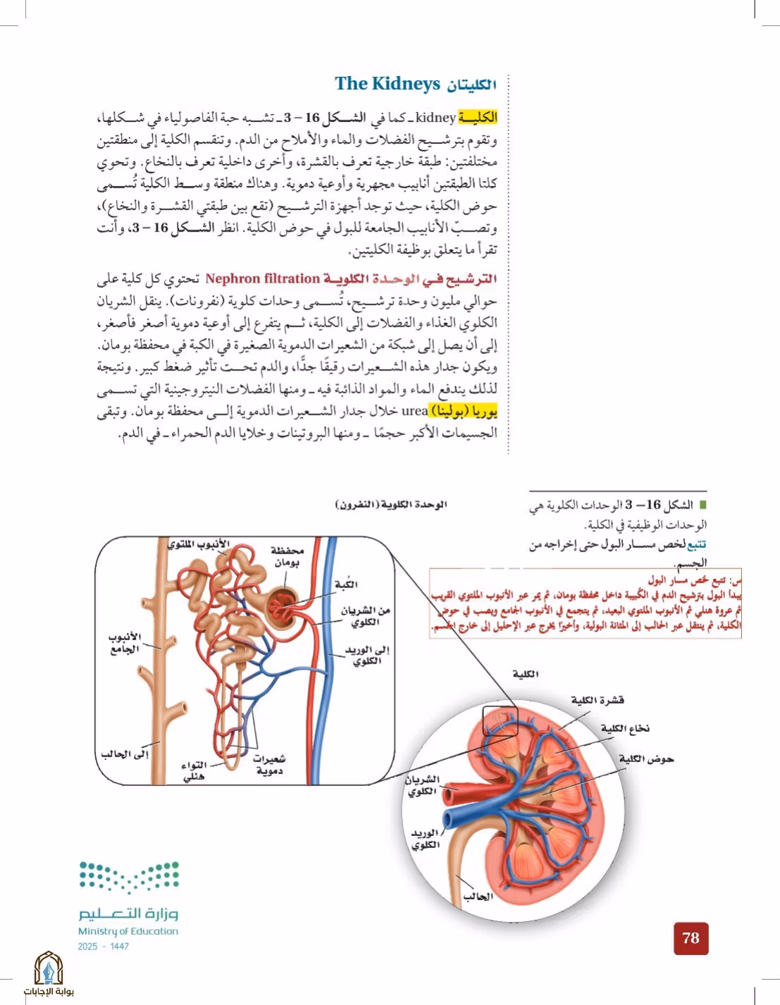 صفحة 78