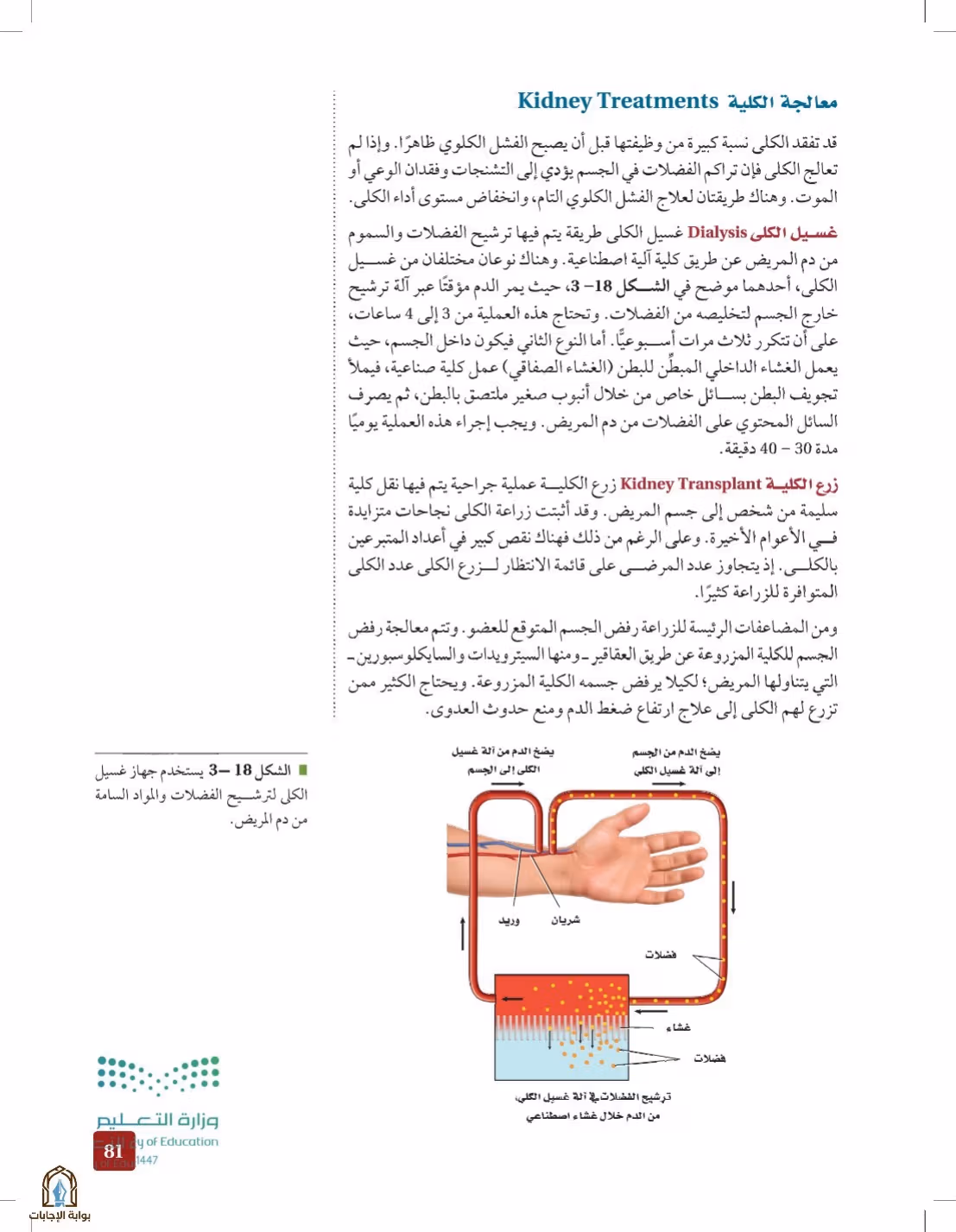 صفحة 81