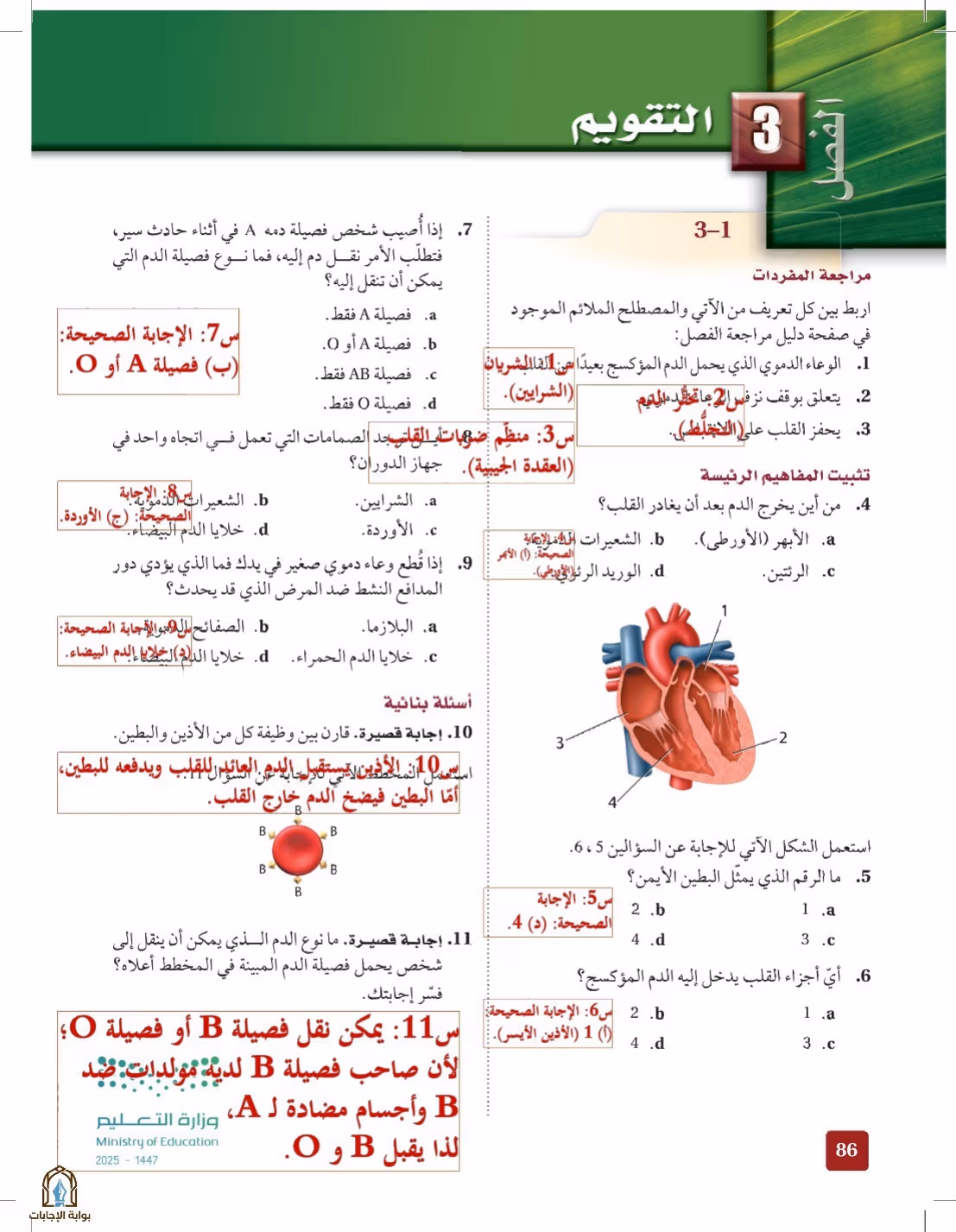 صفحة 86