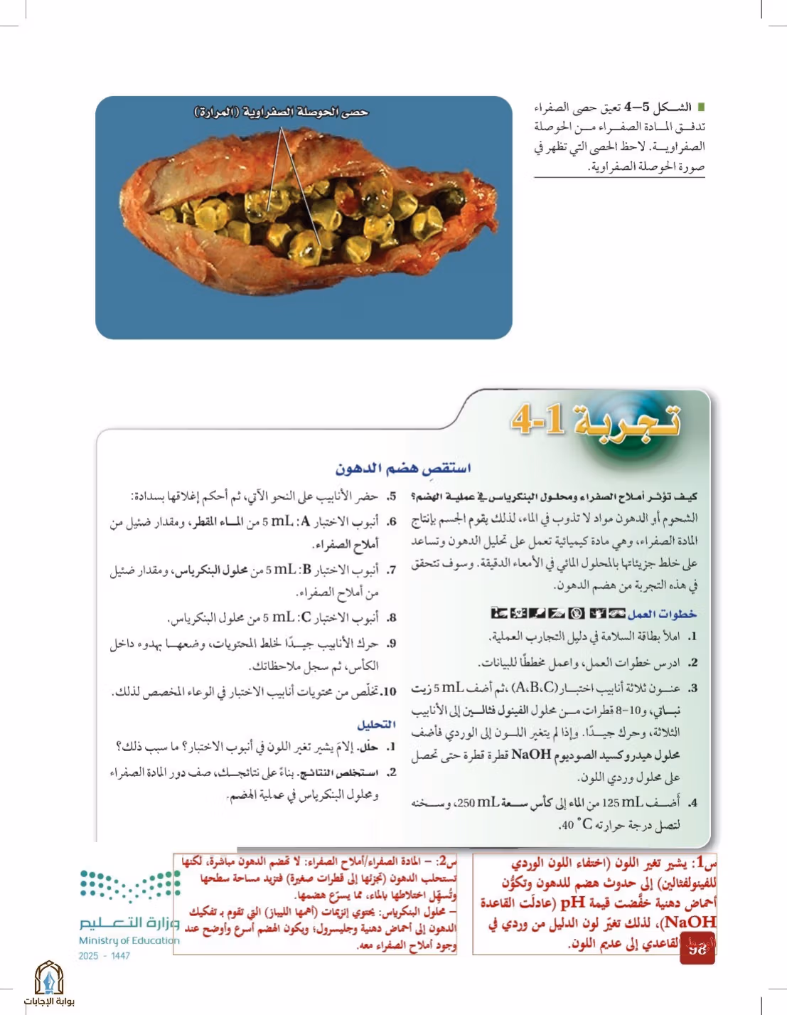 صفحة 98
