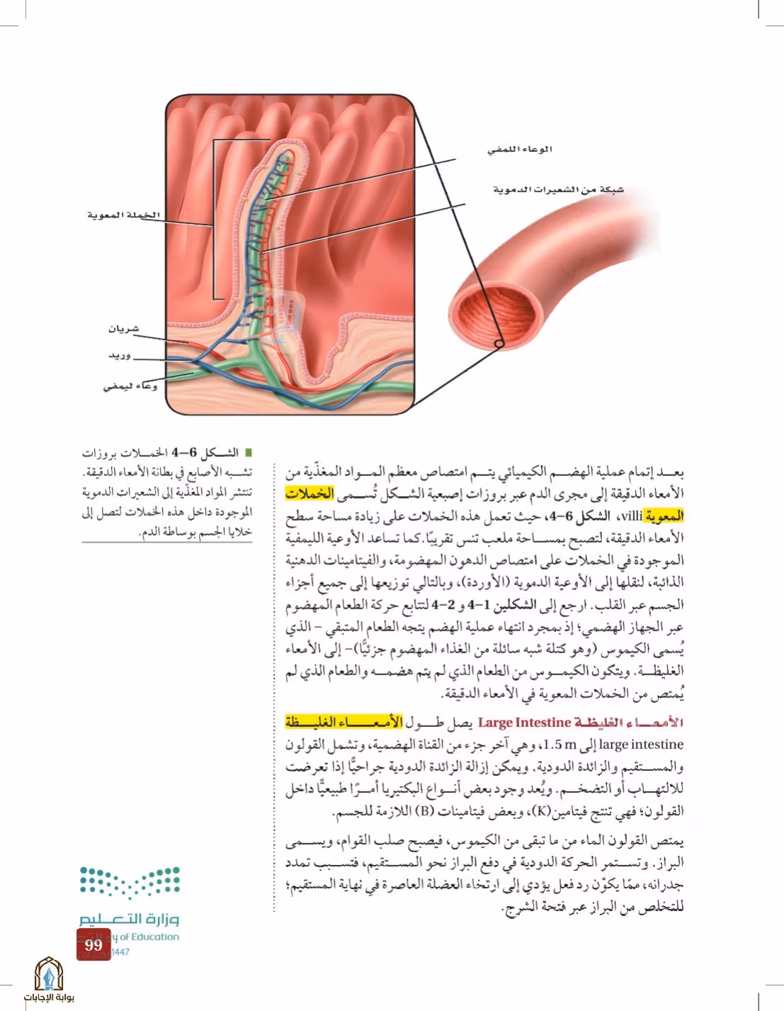 صفحة 99