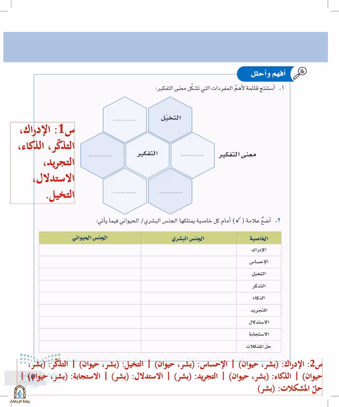 صفحة 13