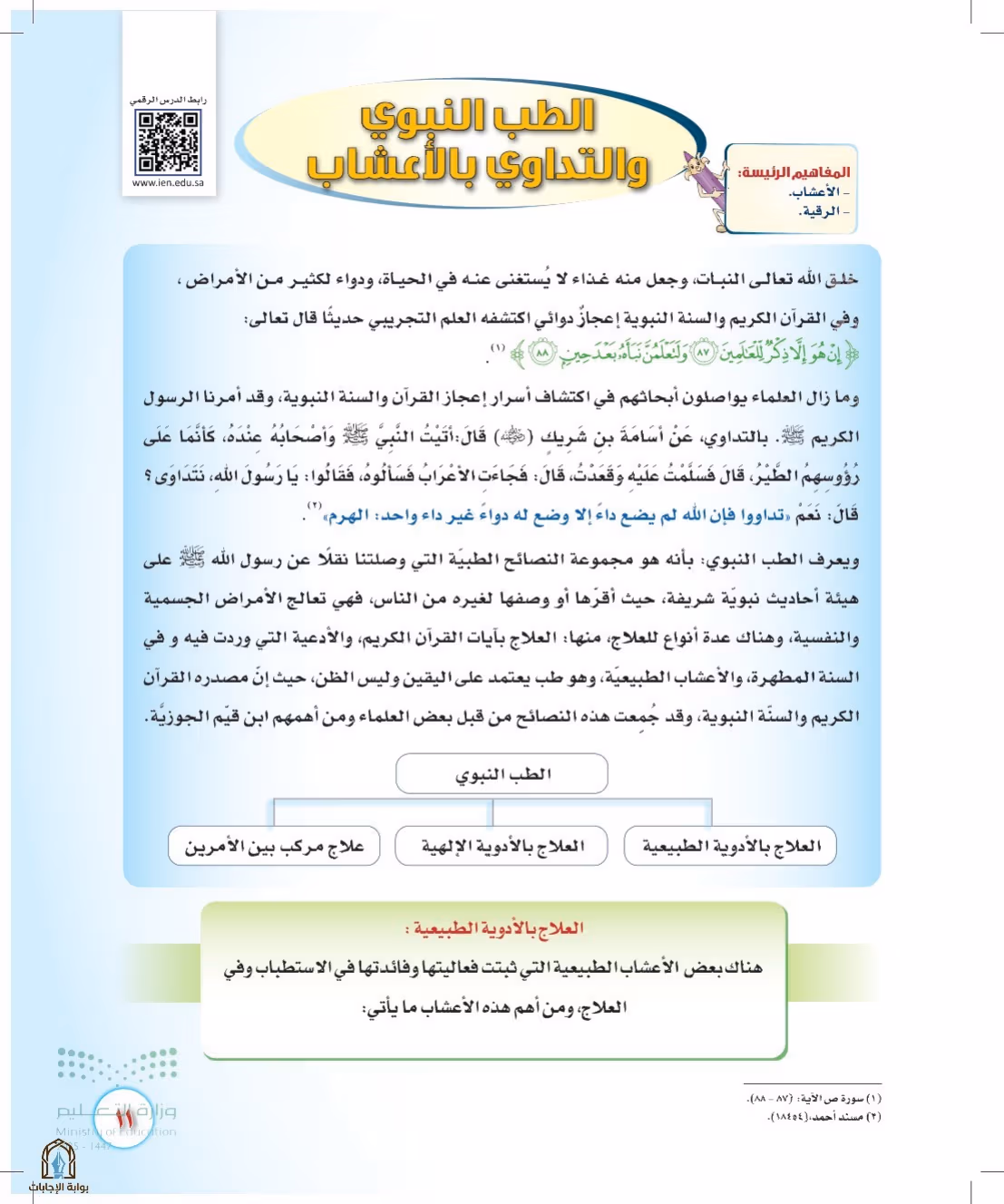 صفحة 11