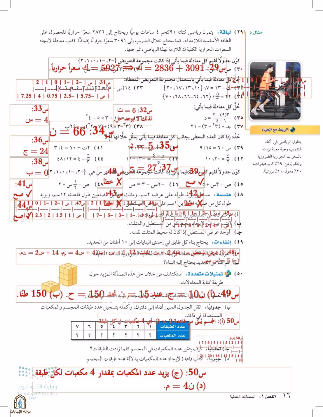 صفحة 16
