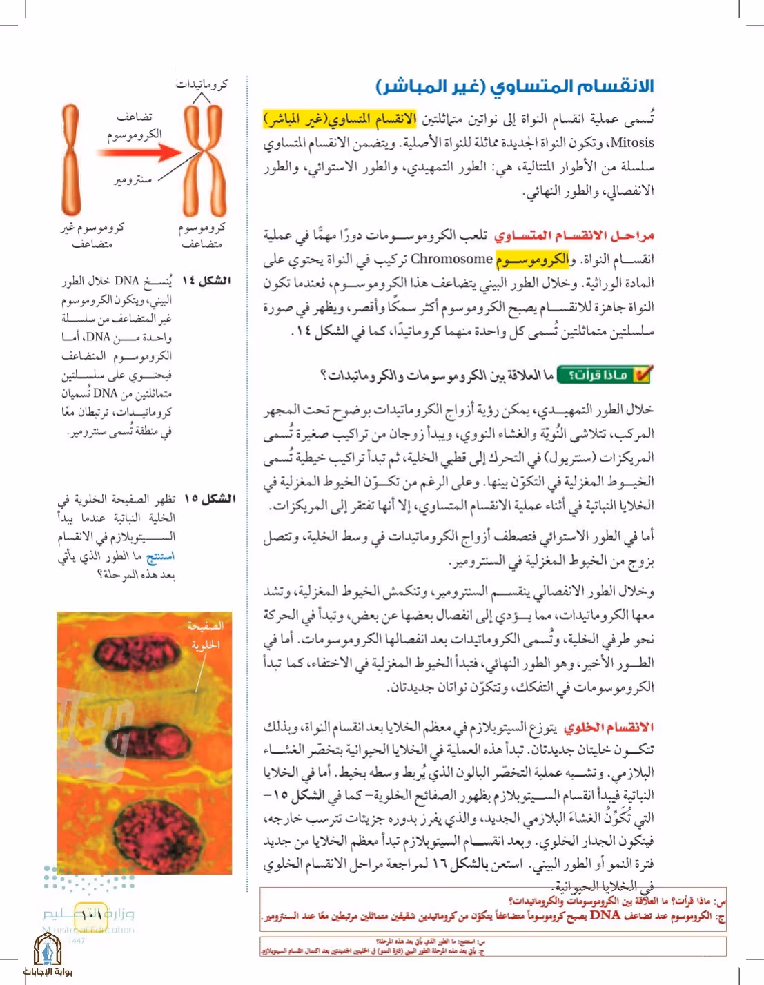 صفحة 101