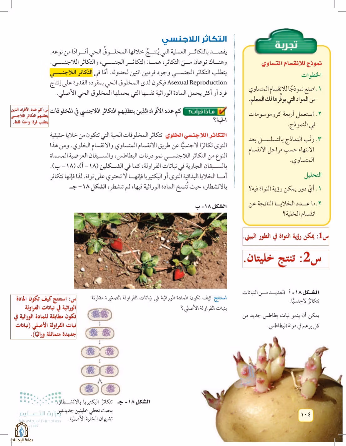 صفحة 104