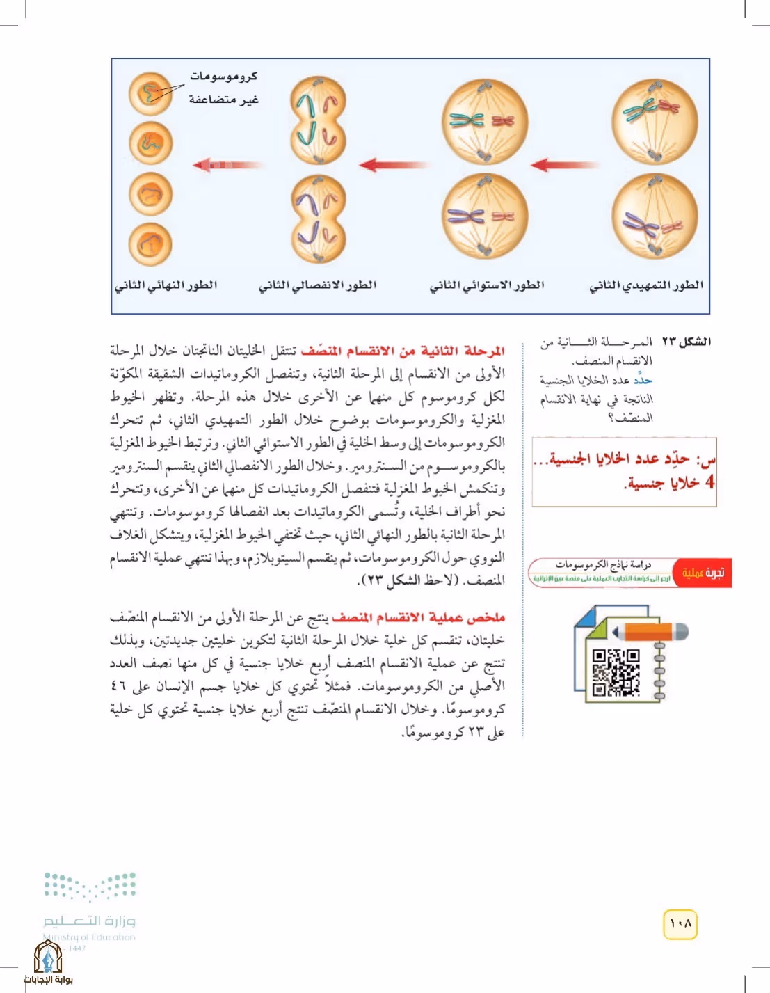 صفحة 108