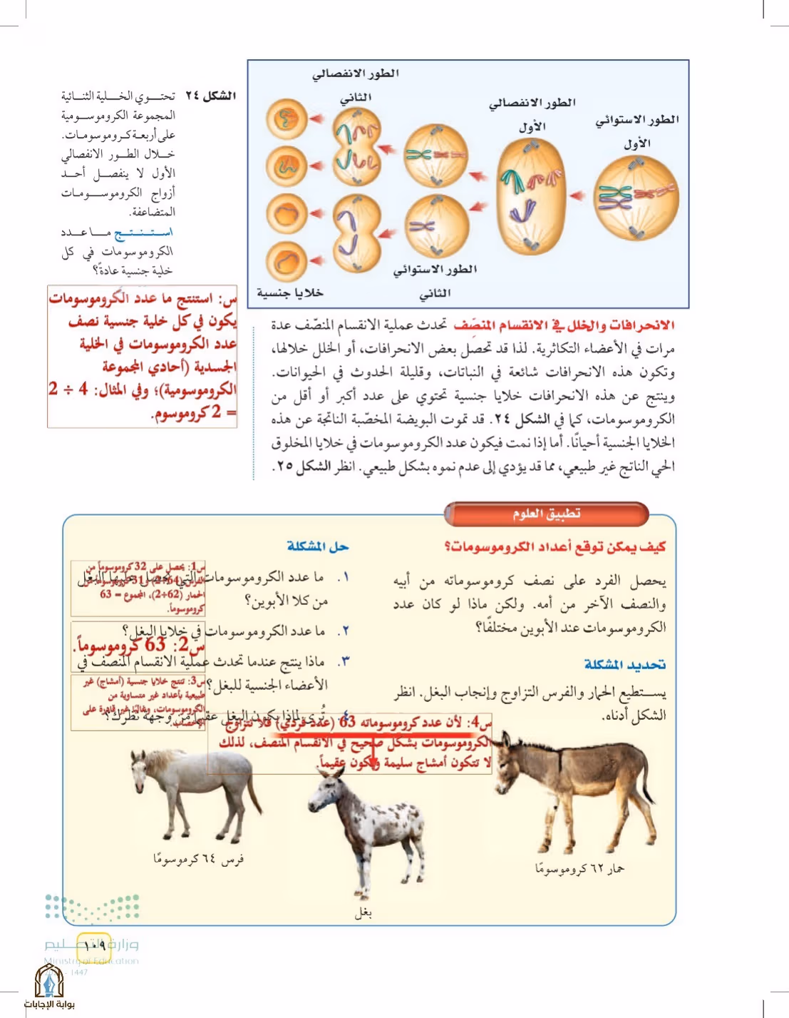 صفحة 109