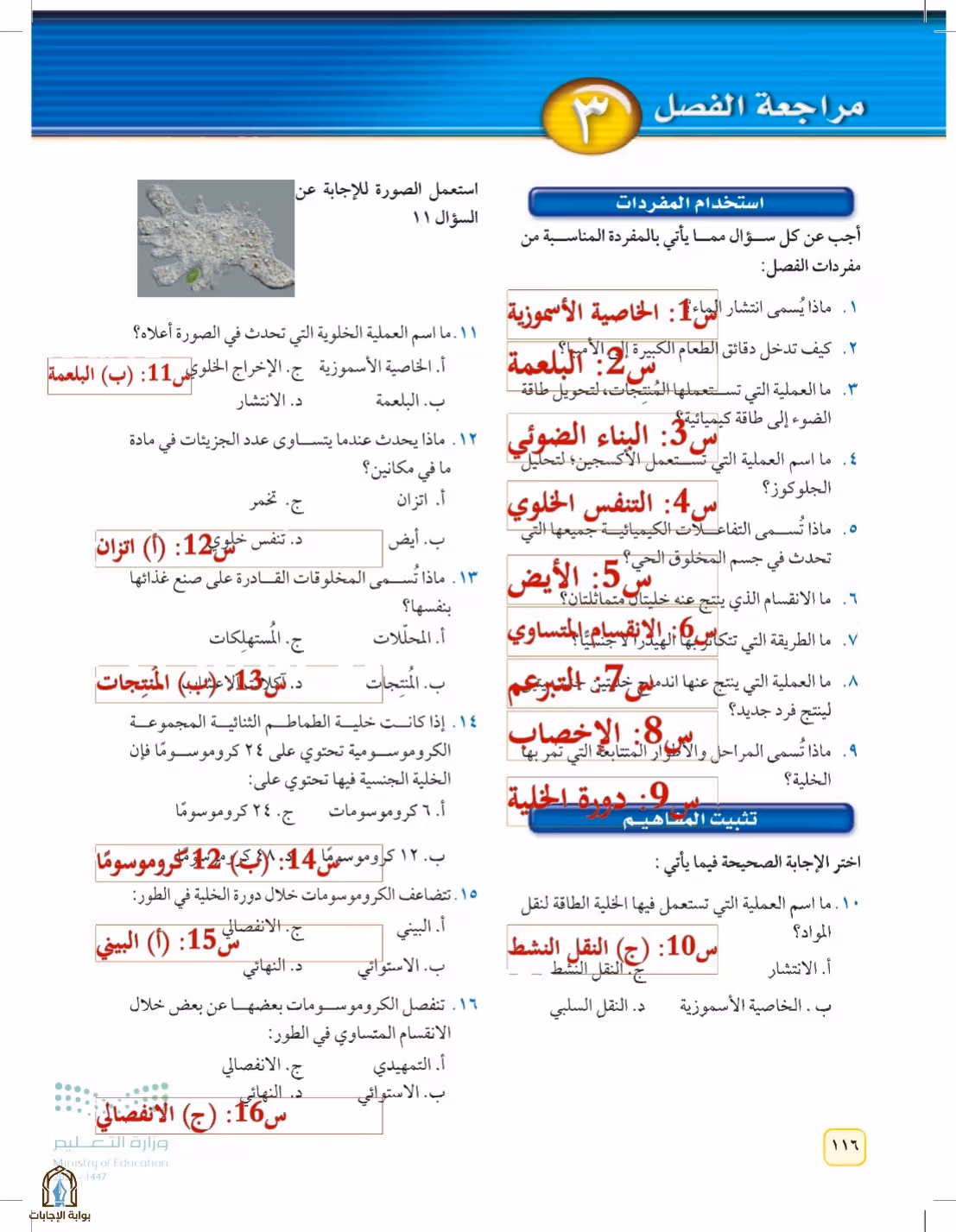 صفحة 116