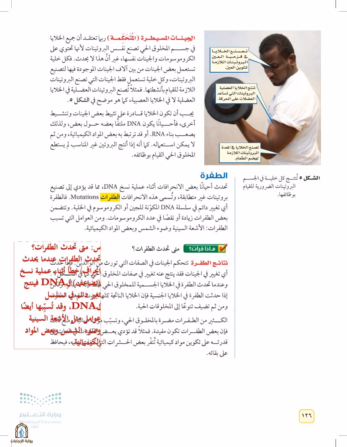 صفحة 126