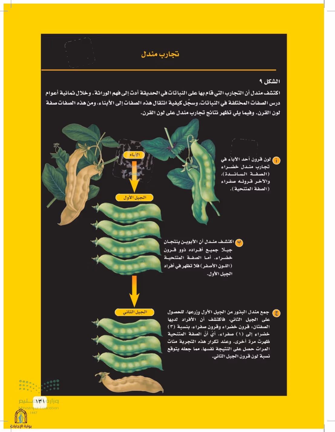 صفحة 131