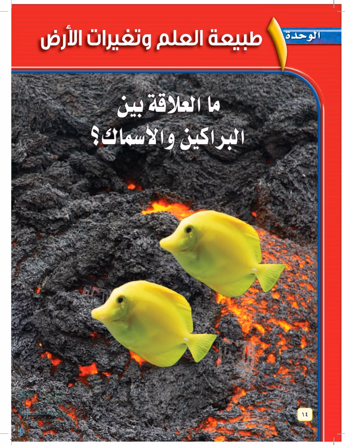 صفحة 14