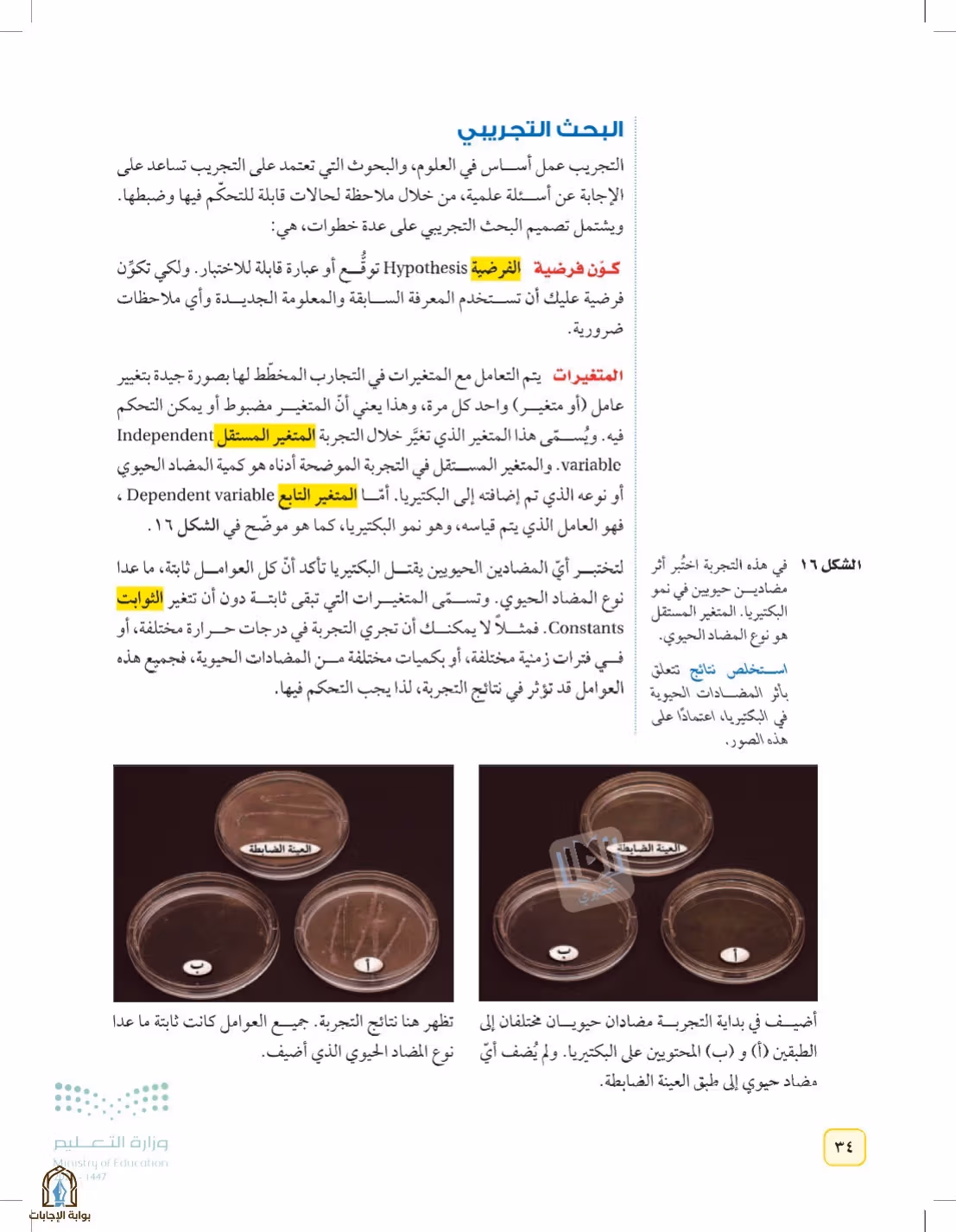 صفحة 34
