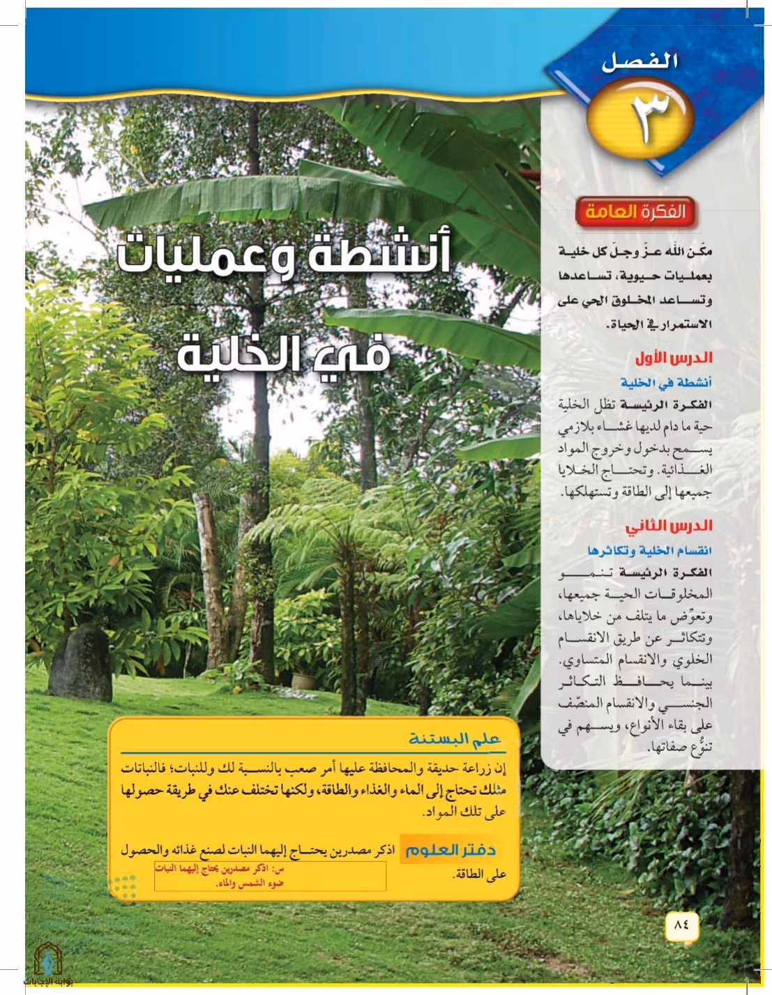 صفحة 84