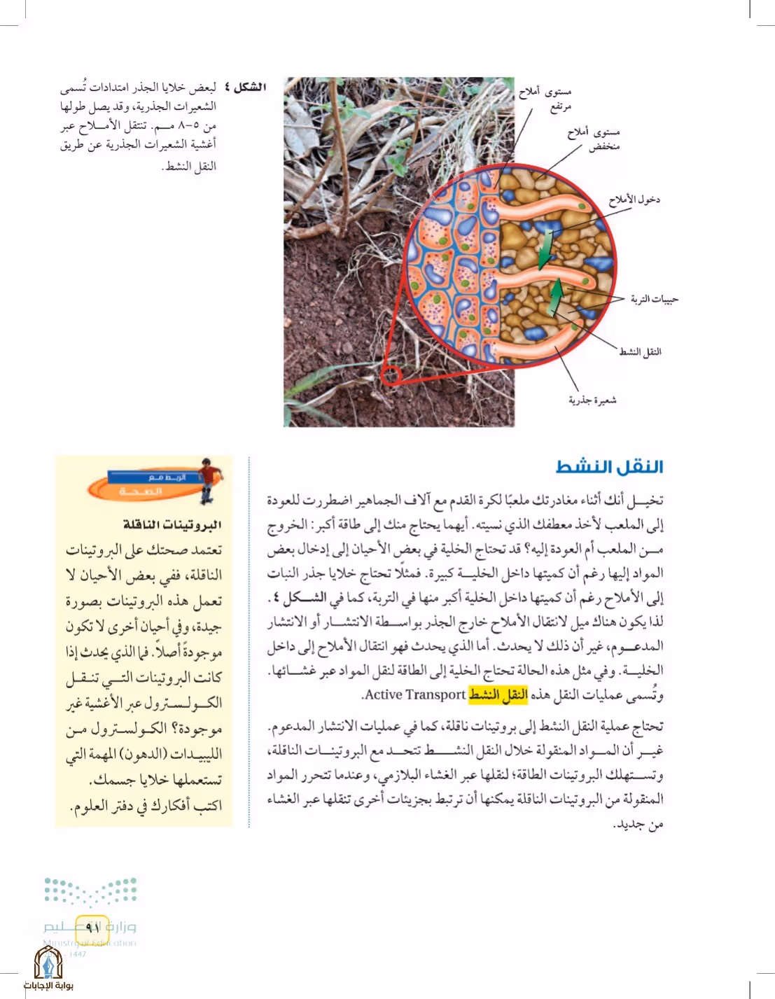 صفحة 91