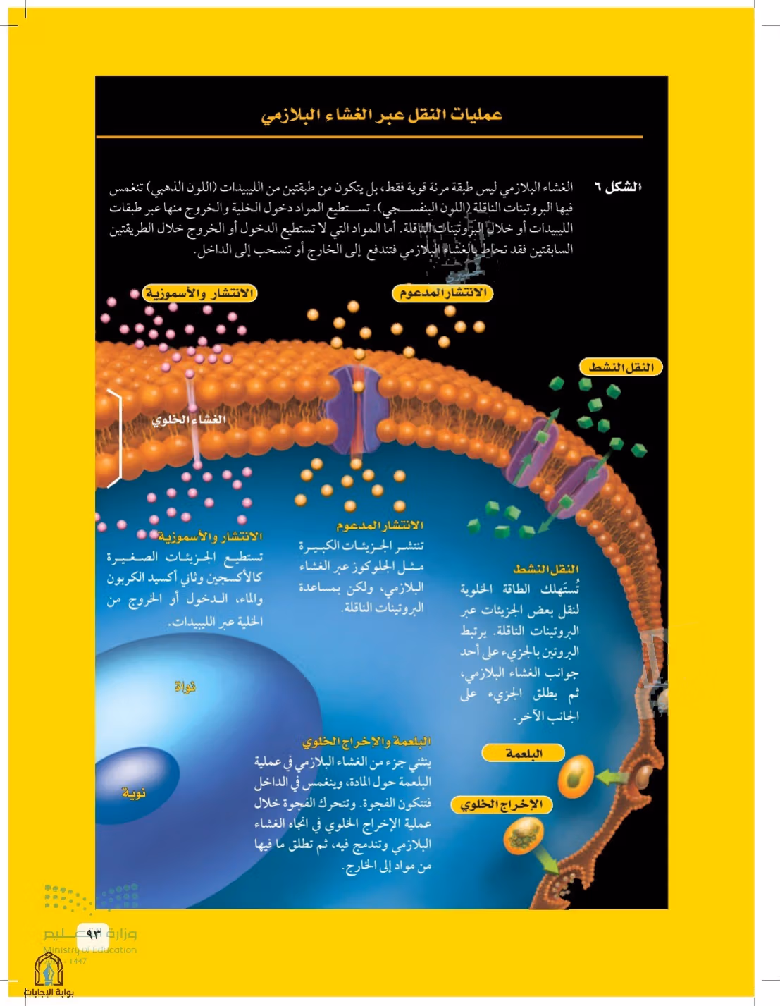 صفحة 93