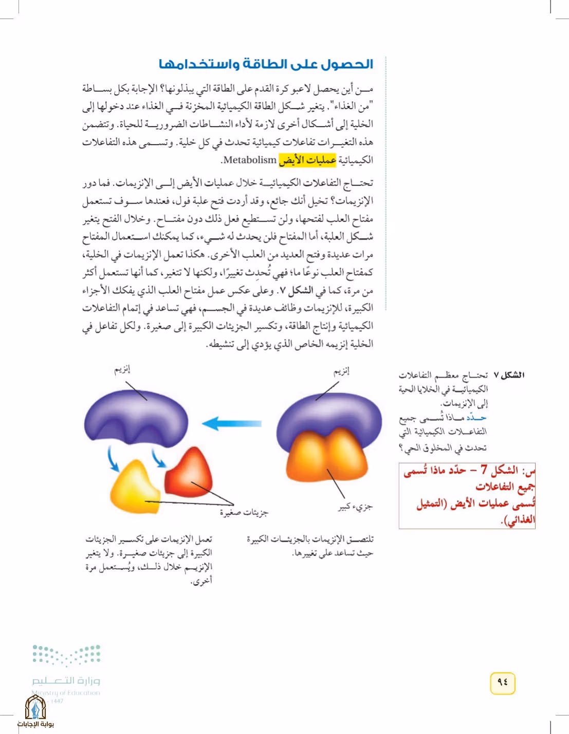 صفحة 94