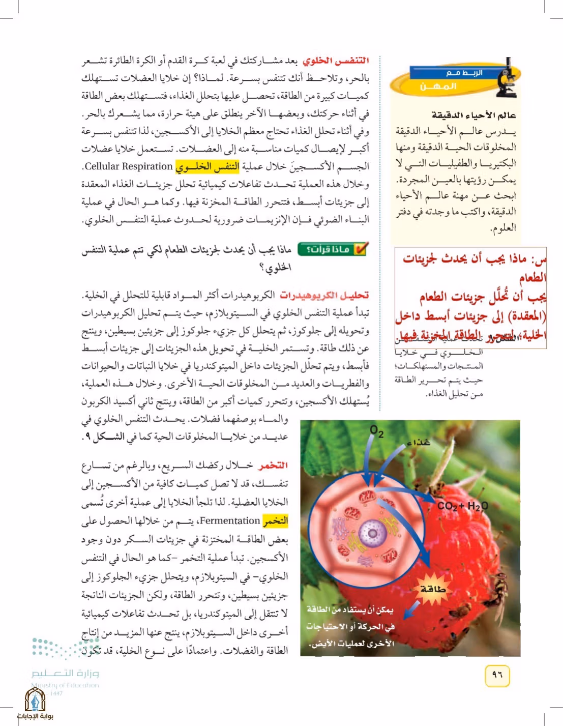 صفحة 96