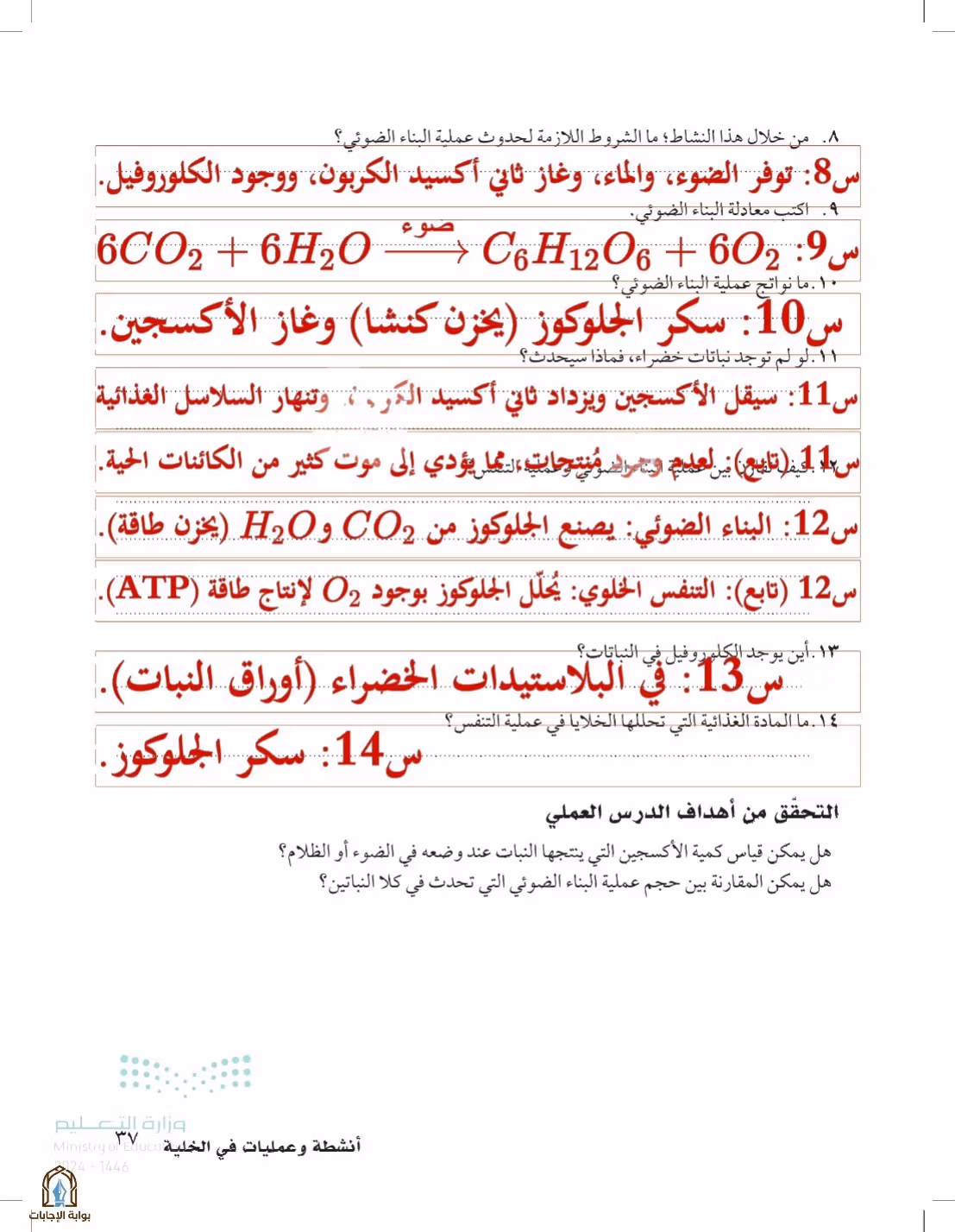 صفحة 37