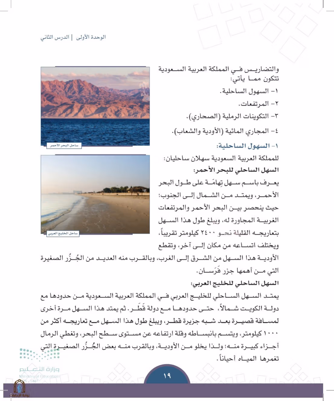 صفحة 19