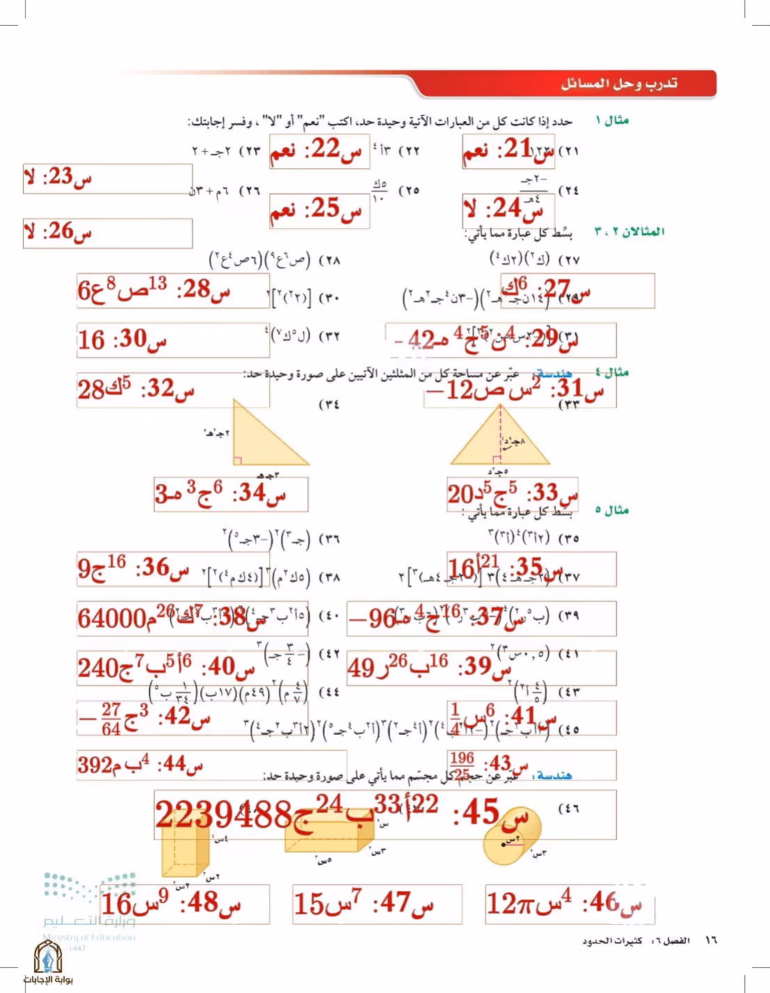صفحة 16