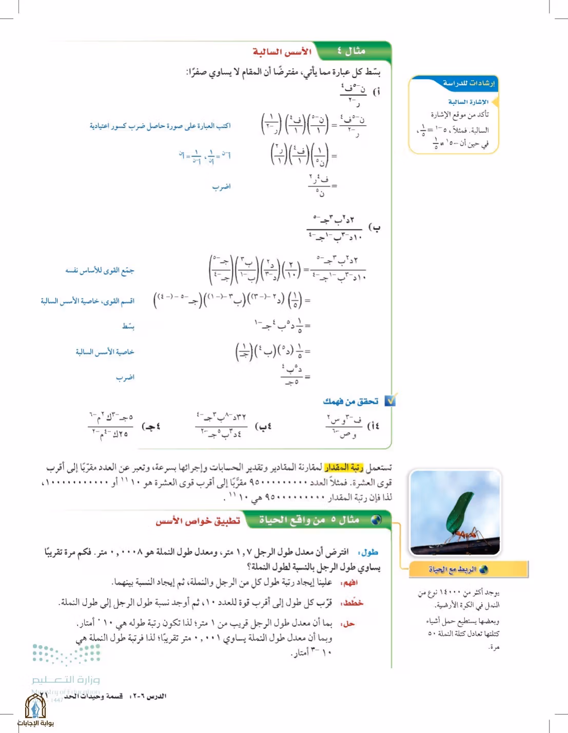 صفحة 21
