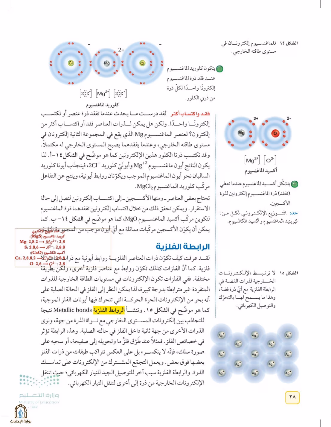 صفحة 28