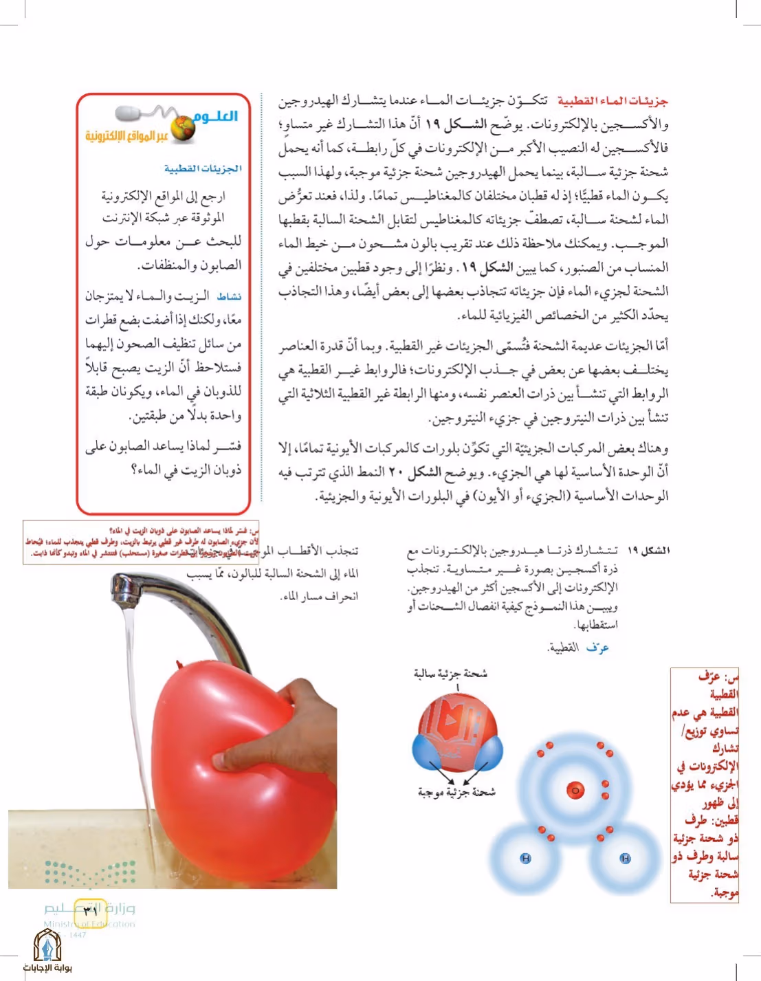 صفحة 31