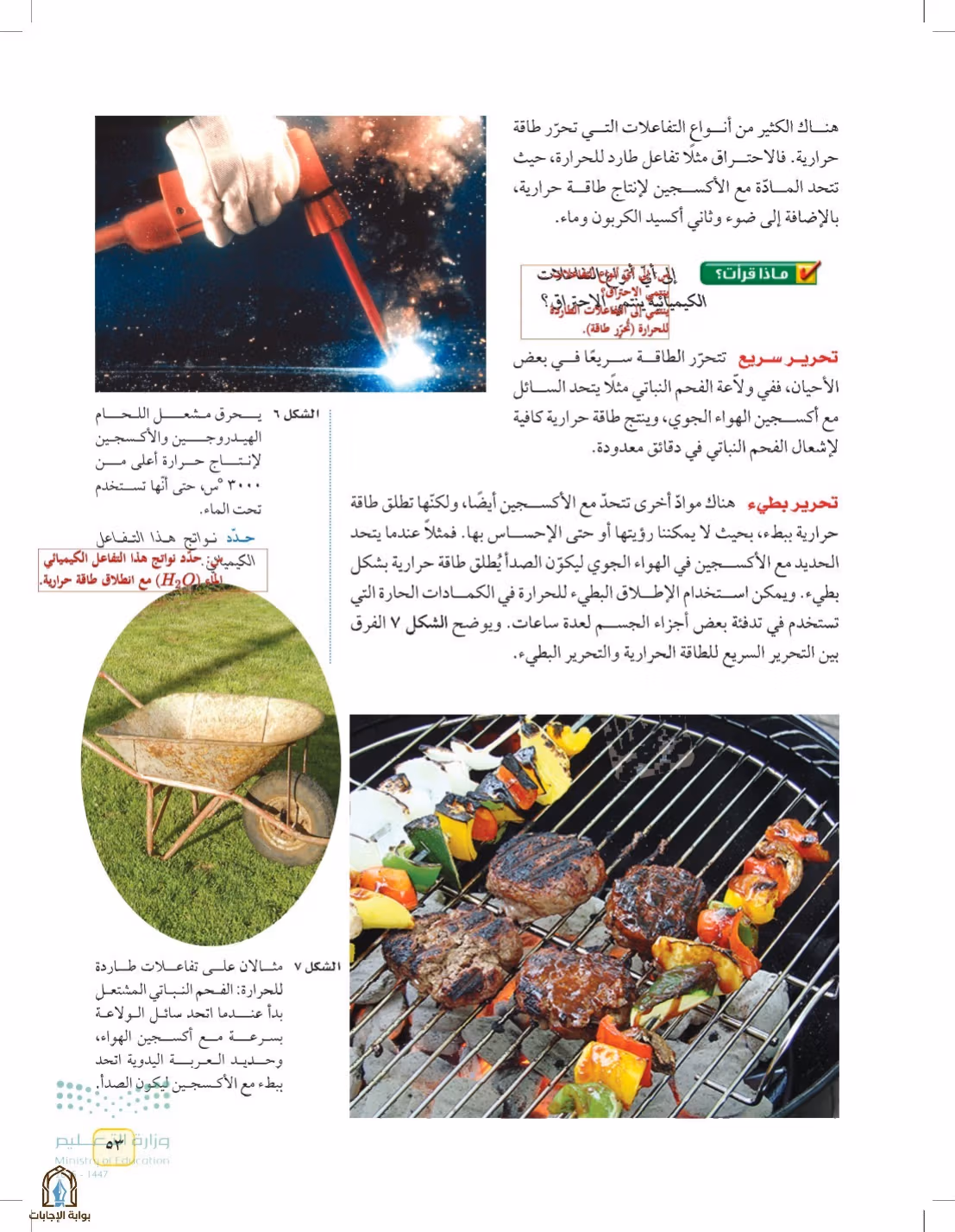 صفحة 53