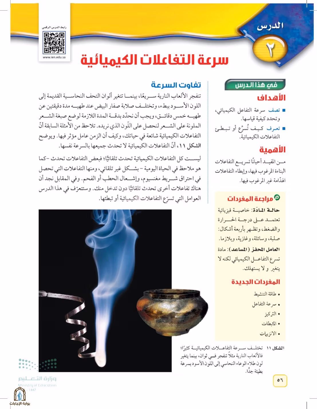 صفحة 56