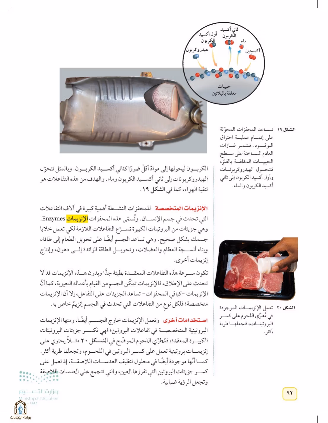 صفحة 62